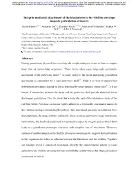 Integrin-Mediated Attachment of the Blastoderm to the Vitelline Envelope Impacts Gastrulation of Insects