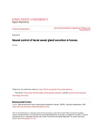 Neural Control of Facial Sweat Gland Secretion in Horses