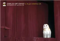 OWLS of OHIO C D G U I D E B O O K DIVISION of WILDLIFE Introduction O W L S O F O H I O