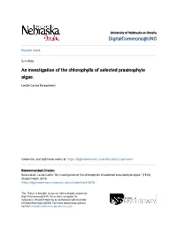 An Investigation of the Chlorophylls of Selected Prasinophyte Algae