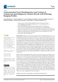 Gastrointestinal Tract Morphometrics and Content of Commercial and Indigenous Chicken Breeds with Differing Ranging Proﬁles