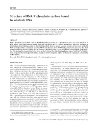 Phosphate Cyclase Bound to Substrate RNA