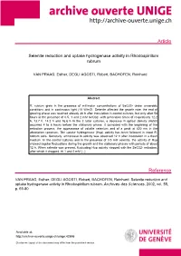 Article (Published Version)
