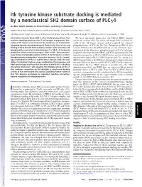 Itk Tyrosine Kinase Substrate Docking Is Mediated by a Nonclassical SH2 Domain Surface of PLC␥1