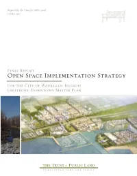 Open Space Implementation Strategy