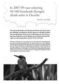 Schatting Ijsvogels