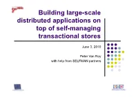 Building Large-Scale Distributed Applications on Top of Self-Managing Transactional Stores