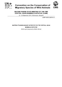 MAPPING TRANSBOUNDARY HOTSPOTS for the CENTRAL ASIAN MAMMALS INITIATIVE (Draft Report Prepared by Stefan Michel)
