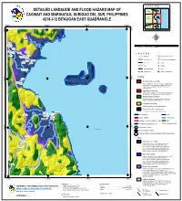 Detailed Landslide and Flood Hazard Map of Cagwait And