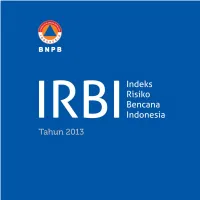 IRBI 2013 Resize.Pdf