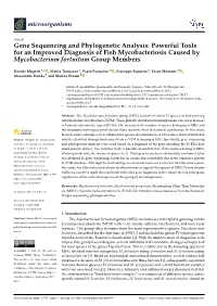 Gene Sequencing and Phylogenetic Analysis: Powerful Tools for an Improved Diagnosis of Fish Mycobacteriosis Caused by Mycobacterium Fortuitum Group Members