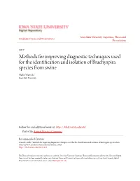 Methods for Improving Diagnostic Techniques Used for the Identification and Isolation of Brachyspira Species from Swine Hallie Warneke Iowa State University