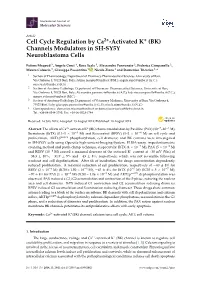 Cell Cycle Regulation by Ca2+-Activated K+ (BK) Channels Modulators in SH-SY5Y Neuroblastoma Cells