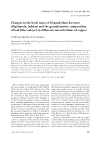 Changes in the Body Mass of Megaphyllum Kievense (Diplopoda, Julidae) and the Granulometric Composition of Leaf Litter Subject to Different Concentrations of Copper