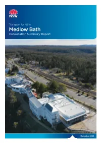 Medlow Bath Consultation Summary Report December 2020