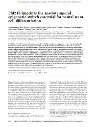 Phf21b Imprints the Spatiotemporal Epigenetic Switch Essential for Neural Stem Cell Differentiation