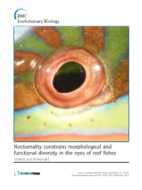 Nocturnality Constrains Morphological and Functional Diversity in the Eyes of Reef Fishes Schmitz and Wainwright