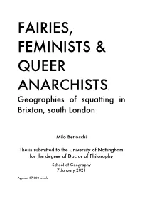 Fairies, Feminists & Queer Anarchists: Geographies of Squatting In