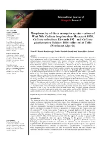 Morphometry of Three Mosquito Species Vectors of West Nile