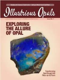 Exploring the Allure of Opal
