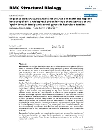 Sequence and Structural Analysis of the Asp-Box Motif and Asp-Box Beta