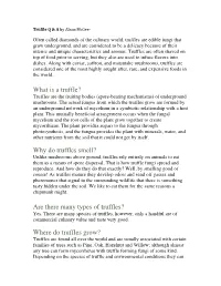 What Is a Truffle? Why Do Truffles Smell?