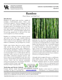 Bamboo Cheryl Kaiser1 and Matt Ernst2 Introduction Bamboo Is the General Name Used for a Number of Perennial, Woody-Stemmed Grasses