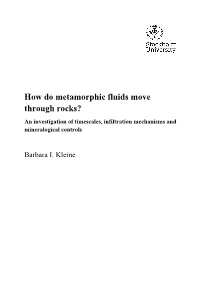 How Do Metamorphic Fluids Move Through Rocks? an Investigation of Timescales, Infiltration Mechanisms and Mineralogical Controls