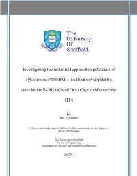 Phd Thesis.Pdf
