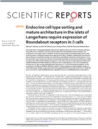 Endocrine Cell Type Sorting and Mature Architecture in the Islets Of
