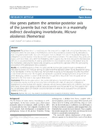 Hox Genes Pattern the Anterior-Posterior Axis of the Juvenile but Not the Larva in a Maximally Indirect Developing Invertebrate
