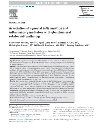 Association of Synovial Inflammation and Inflammatory Mediators with Glenohumeral Rotator Cuff Pathology