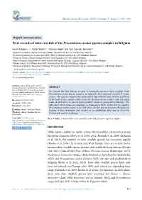 First Records of Alien Crayfish of the Procambarus Acutus Species Complex in Belgium