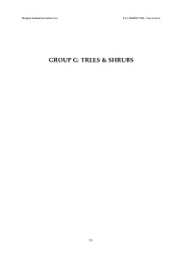 Group G: Trees & Shrubs