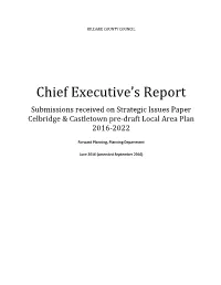 Chief Executive's Report on Submissions Received to Issues Paper