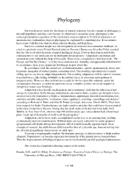 05. Phylogeny