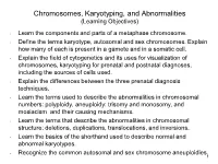 Chromosomes, Karyotyping, and Abnormalities (Learning Objectives)