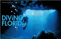 DAY TRIP Submerge Yourself