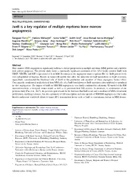 Junb Is a Key Regulator of Multiple Myeloma Bone Marrow Angiogenesis