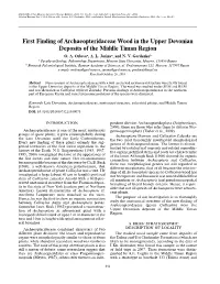 First Finding of Archaeopteridaceae Wood in the Upper Devonian Deposits of the Middle Timan Region O