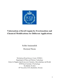 Valorization of Kraft Lignin by Fractionation and Chemical Modifications for Different Applications