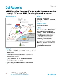 YTHDF2/3 Are Required for Somatic Reprogramming Through Different RNA Deadenylation Pathways