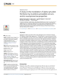 A Study on the Modulation of Alpha-Synuclein Fibrillation by Scutellaria Pinnatifida Extracts and Its Neuroprotective Properties