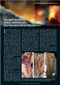 Caught Between Mass Extinctions - the Rise and Fall of Dicroidium