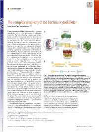The Complex Simplicity of the Bacterial Cytoskeleton COMMENTARY