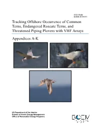 Tracking Offshore Occurrence of Common Terns, Endangered Roseate Terns, and Threatened Piping Plovers with VHF Arrays Appendices A-K