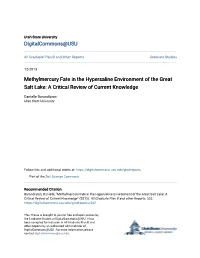 Methylmercury Fate in the Hypersaline Environment of the Great Salt Lake: a Critical Review of Current Knowledge