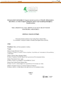 Bugila Phd Thesis Document Final