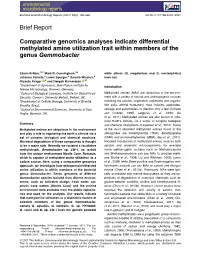 Comparative Genomics Analyses Indicate Differential Methylated Amine Utilization Trait Within Members of the Genus Gemmobacter