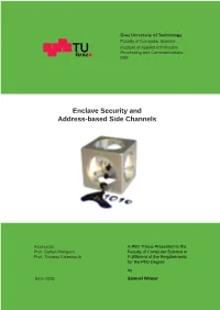 Enclave Security and Address-Based Side Channels